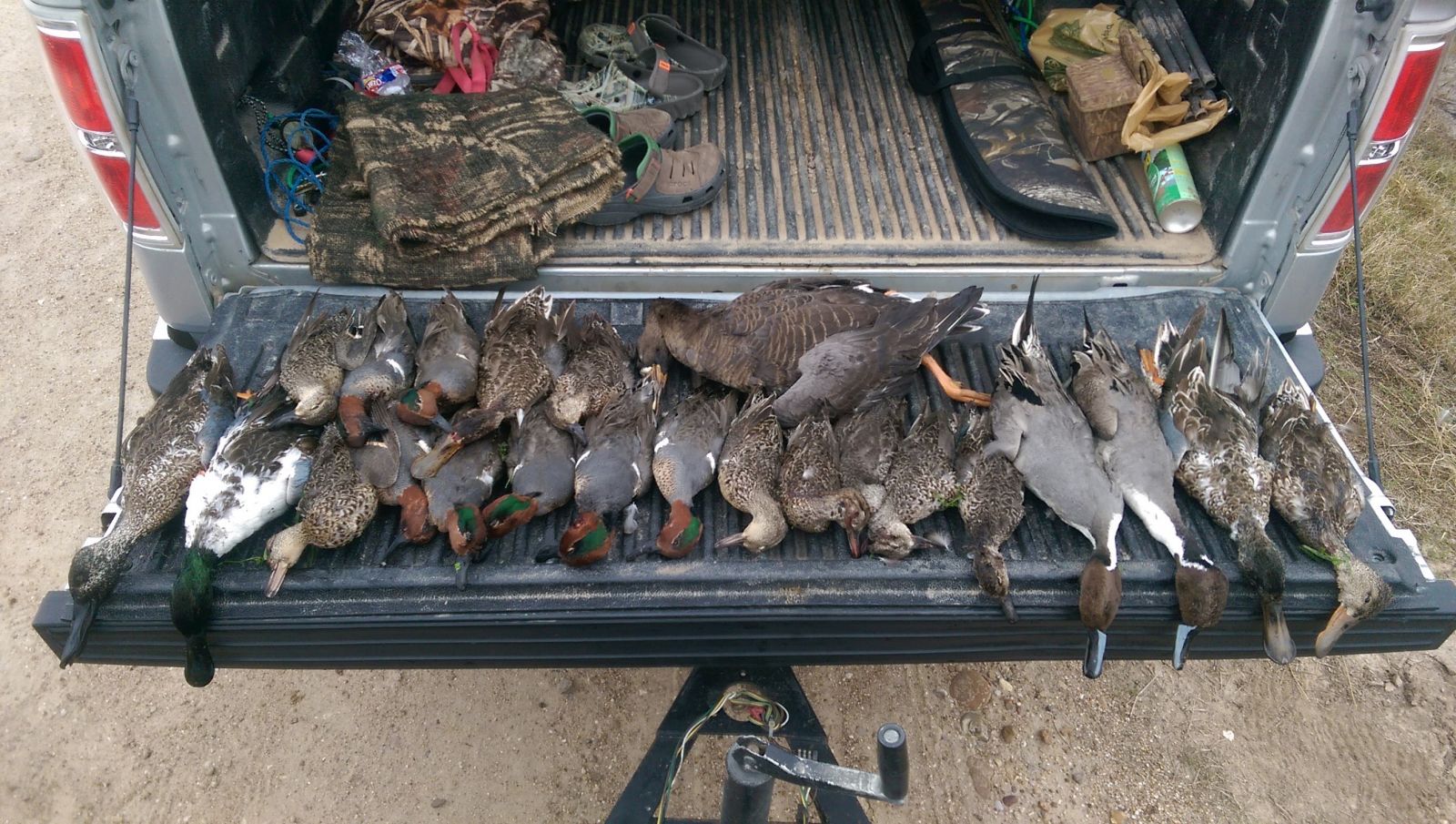 Duck Hunt Texas